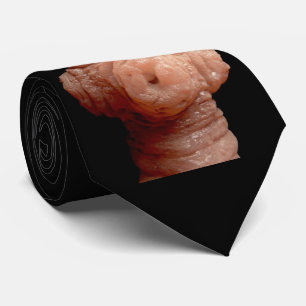 Hals-Krawatte - Spirometra erinaceieuropaei Krawatte