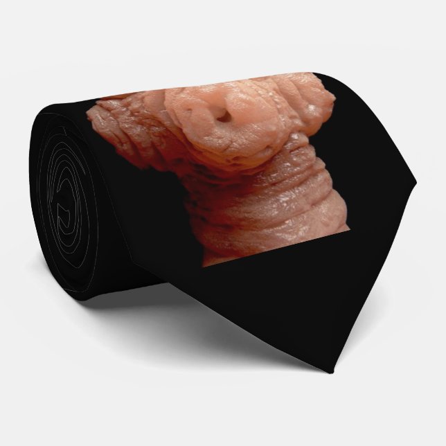 Hals-Krawatte - Spirometra erinaceieuropaei Krawatte (Gerollt)