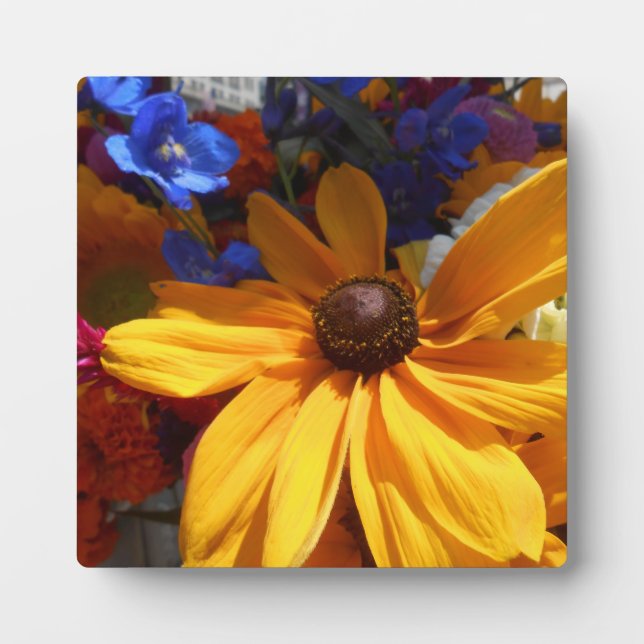 Halse Fotoplatte (Vorderseite)