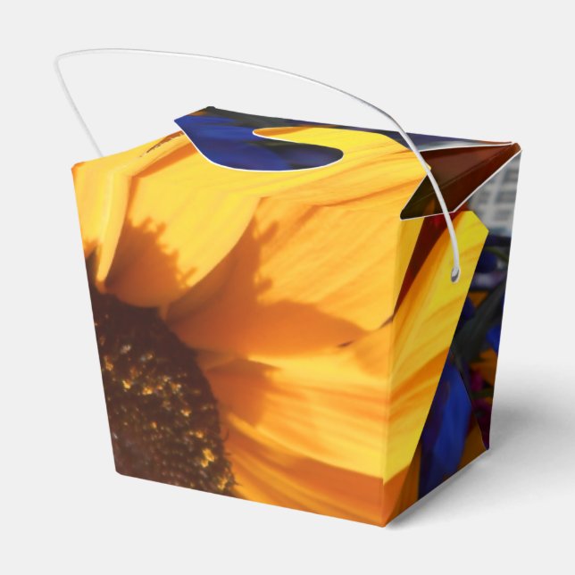 Halse Geschenkschachtel (Rückseite)