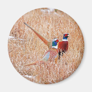 Halsschmerzen Magnet