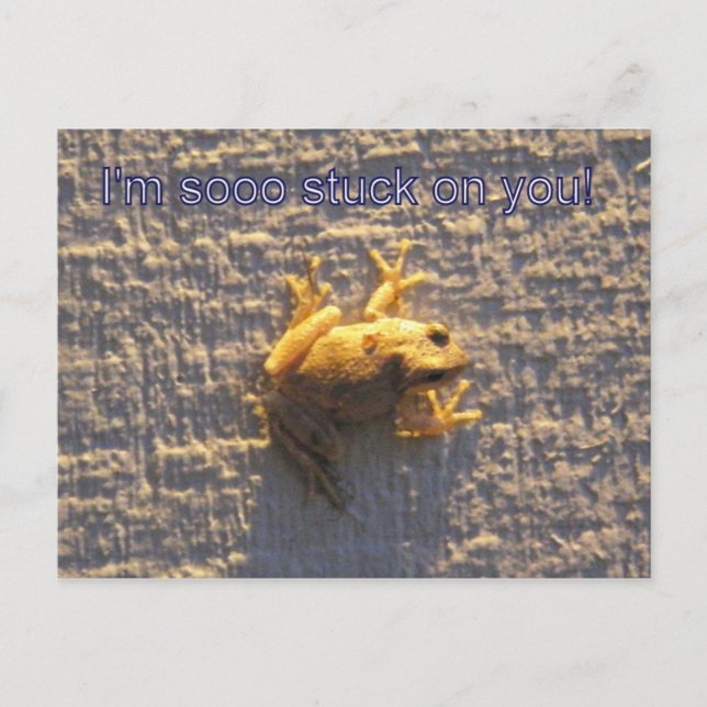 Halt dich fest postkarte (Vorderseite)