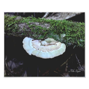 Haltbarkeit Fotodruck