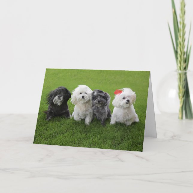 halten karte (Vorderseite)