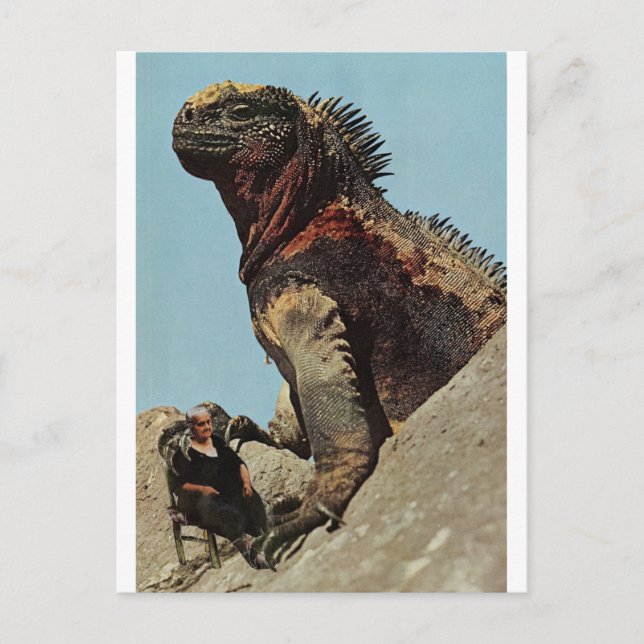 Halten Sie fest - Postkarte (Vorderseite)