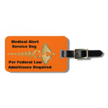 Halten Sie Hund-Identifikation instand