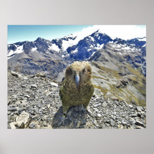 Halten Sie sich aus Poster
