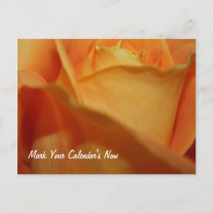 Haltet-das-Datum-Postkarte Ankündigungspostkarte