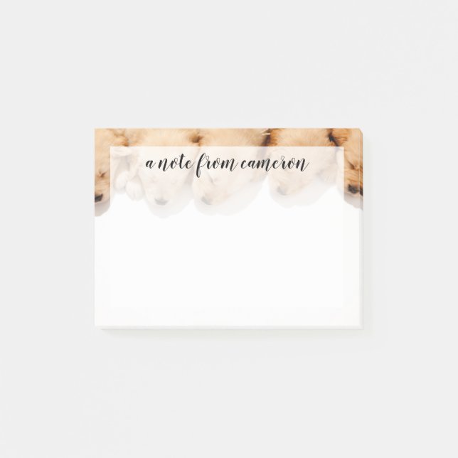 Haltung Golden Retriever Welpen Post-it Klebezettel (Vorderseite)