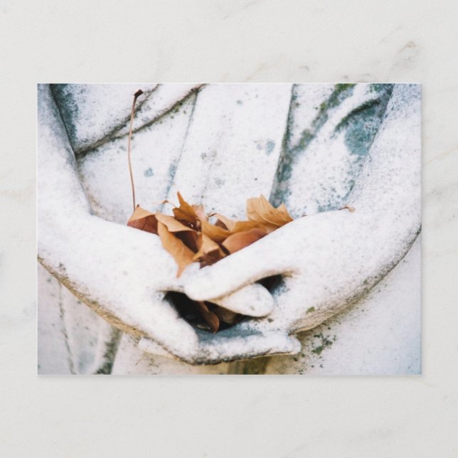 Haltung Postkarte (Vorderseite)