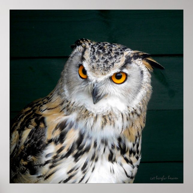 'Haltung' - Schale Poster (Vorne)