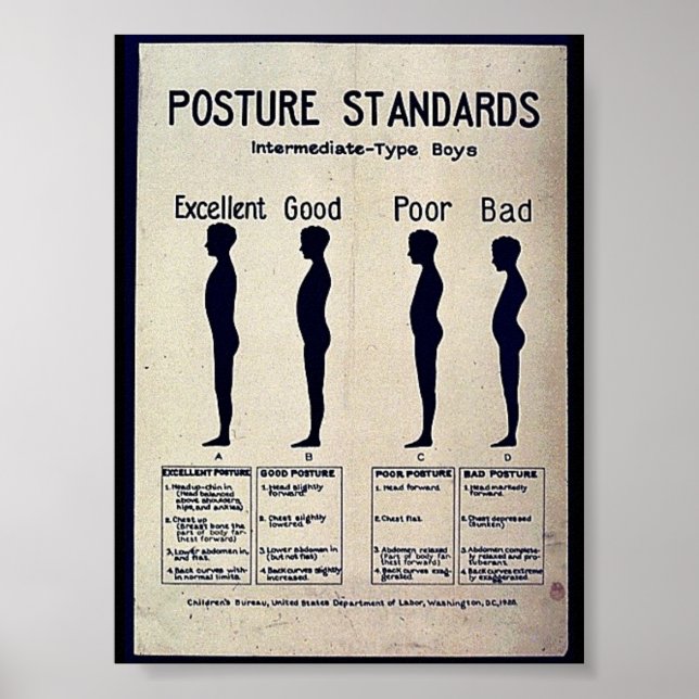 Haltungsstandards Poster (Vorne)