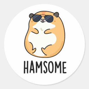 Ham-some Funny Handsome Hamster Pun Runder Aufkleber
