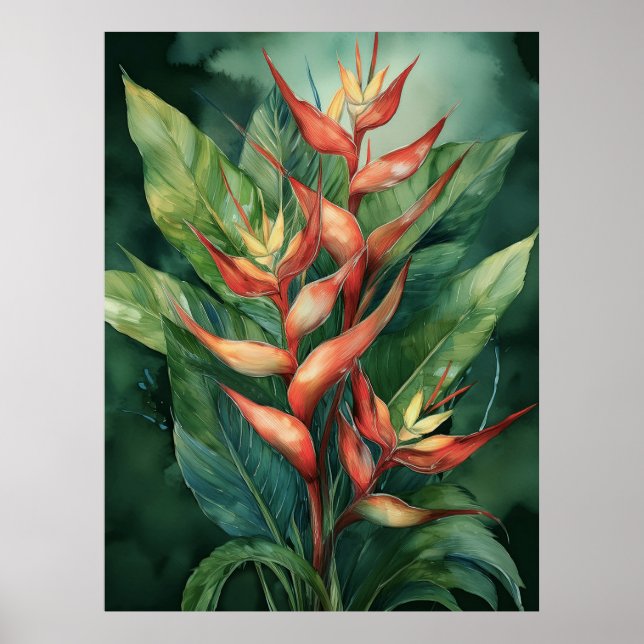 Hamakua Heliconia Poster (Vorne)