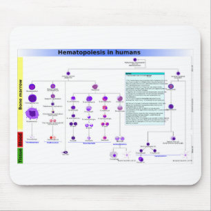 Hämatopoese in humanen Stammzellen Mousepad