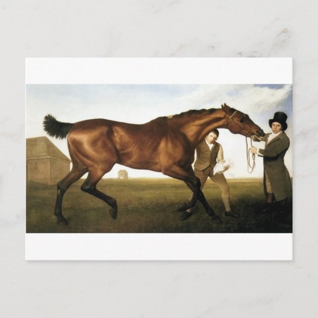 Hambletonian von George Stubbs Postkarte (Vorderseite)