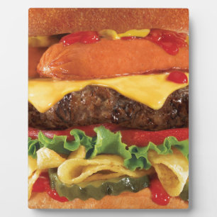 Hamburger Fotoplatte