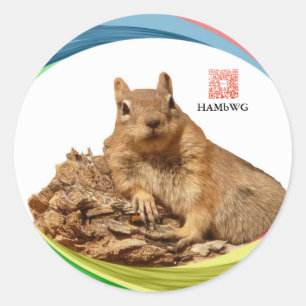 HAMbWG -Aufkleber - Eichhörnchen mit Logo-Farben Runder Aufkleber