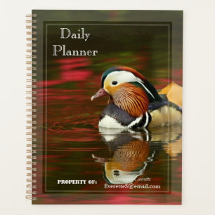 HAMbWG - Foto-Tagesplaner - Kleine Stockente Planer