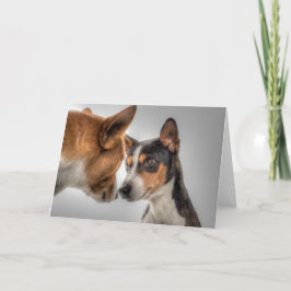 HAMbWG - Grußkarte - 2 Hunde Karte