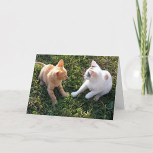 HAMbWG - Grußkarte - 2 Katzen Karte