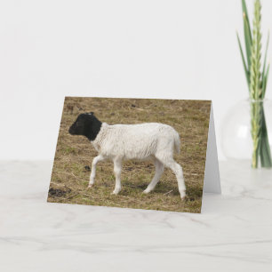 HAMbWG Grußkarten - Schwarzweiß Karte