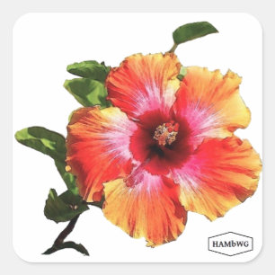 HAMbWG Hibisken-Blume Quadratischer Aufkleber