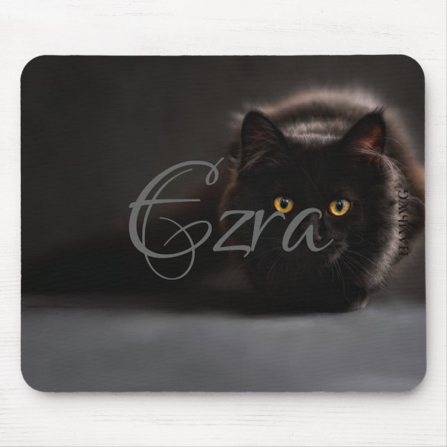 HAMbWG - Maus-Pad - Schwarze Katze Mousepad (Vorne)