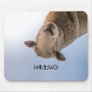 HAMbWG - Mauspad - Schafe