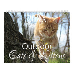 HAMbWG Outdoor Katzen & Kätzchen Kalender