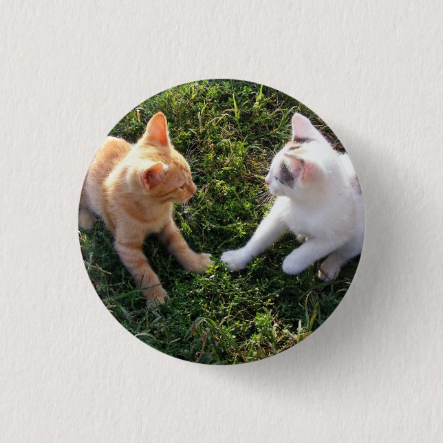HAMbWG - Quadratischer Knopf - 2 Katzen Button (Vorderseite)