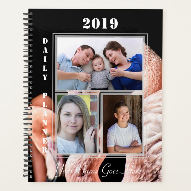 HAMbWG - Rosa Flamingos Planer (Vorderseite)