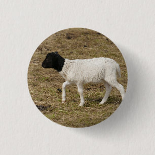 HAMbWG - Square Button - Black Head Sheep