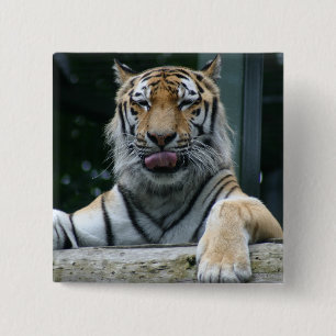 HAMbWG - Square Button - Tiger