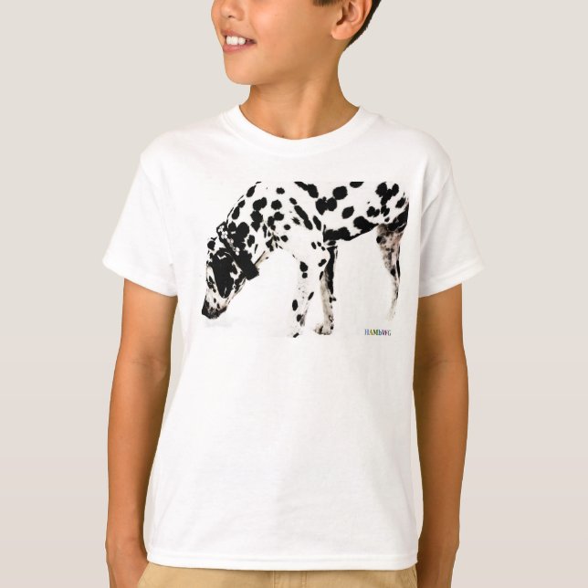 HAMbWG Sweatshirt - Dalformation T-Shirt (Vorderseite)