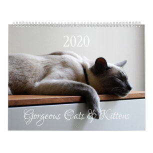 HAMbyWG - 2020 Großartige Katzen Kalender