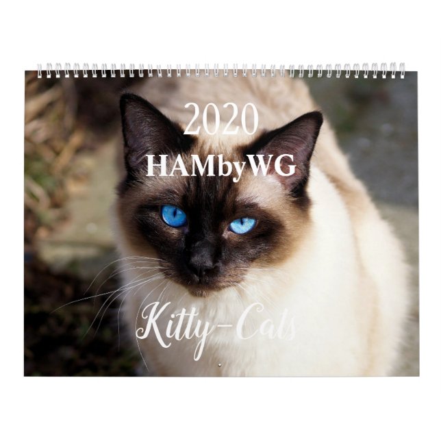 HAMbyWG 2020 Kätzchen-Kalender Kalender (Titelbild)