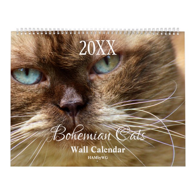 HAMbyWG - Bohemische Katzen Kalender (Titelbild)