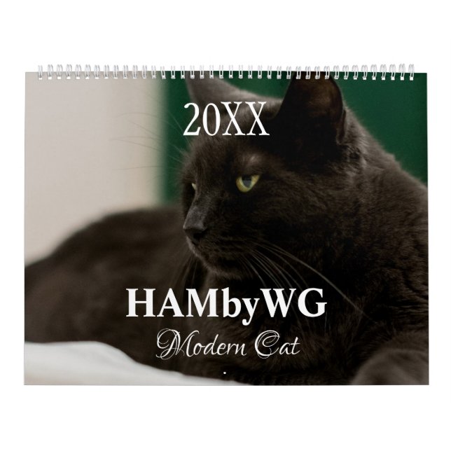 HAMbyWG Kalender der Neuen Katzen (Titelbild)