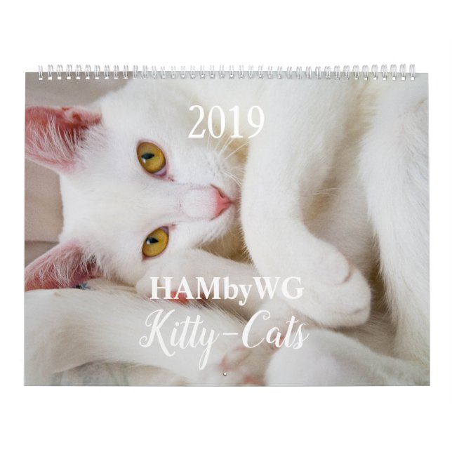 HAMbyWG Kitty-Cats-Kalender Kalender (Titelbild)