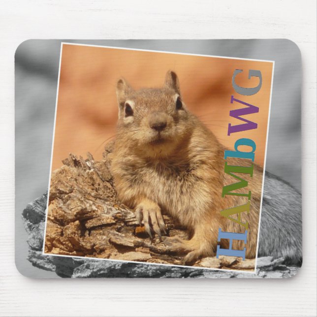 HAMbyWG - Mouse Pad - Berühmtes Eichhörnchen Mousepad (Vorne)