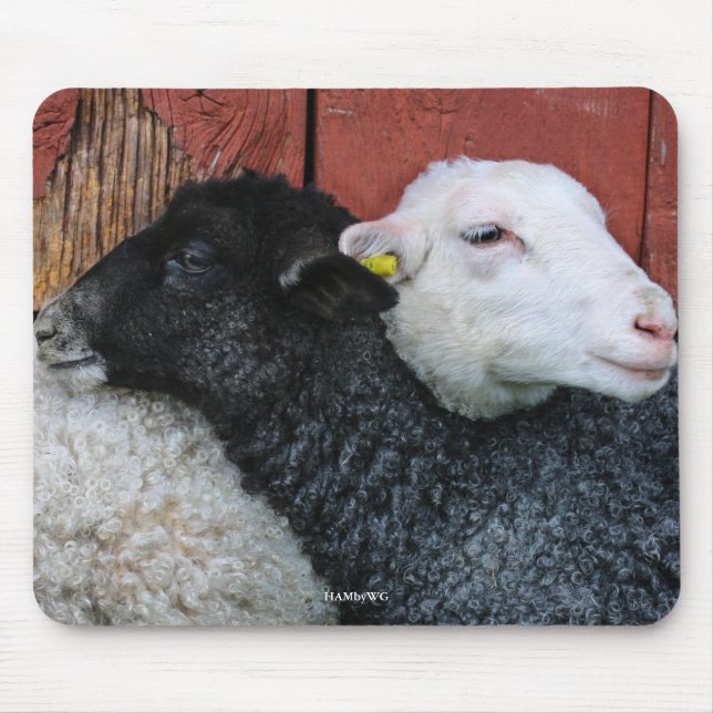 HAMbyWG - Pad der schwarzen Schafsmütze Mousepad (Vorne)