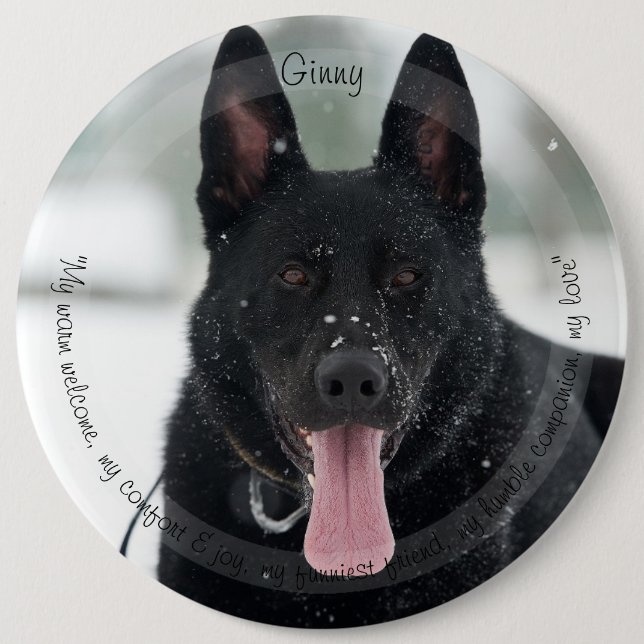 HAMbyWG Pet-Lobpreisung Button (Vorderseite)