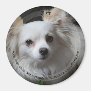 HAMbyWG Pet Magnet