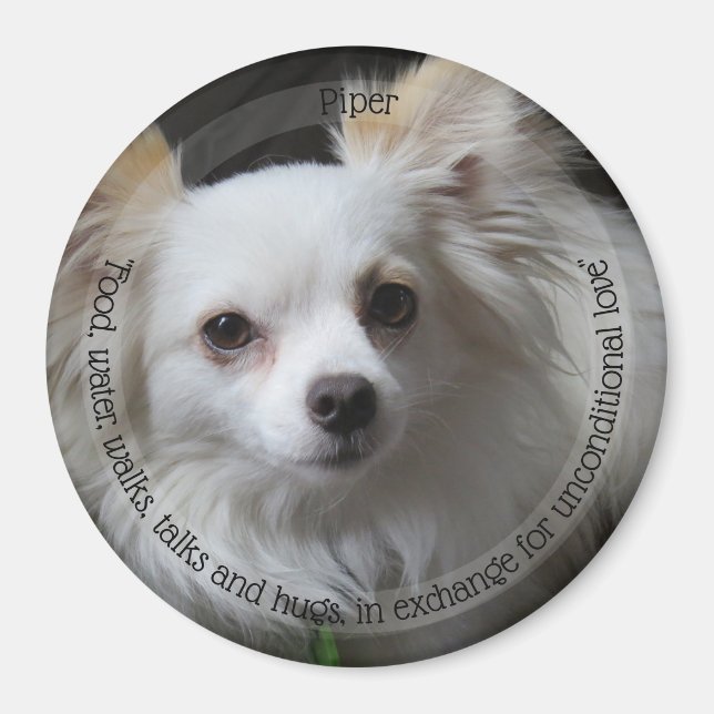 HAMbyWG Pet Magnet (Vorne)
