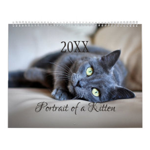HAMbyWG- Portrait eines Kitten-Kalenders Kalender