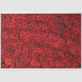 HAMbyWG-Rote Rosen Seidenpapier