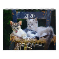 HAMbyWG - Rustikale Katzen & Kätzchen