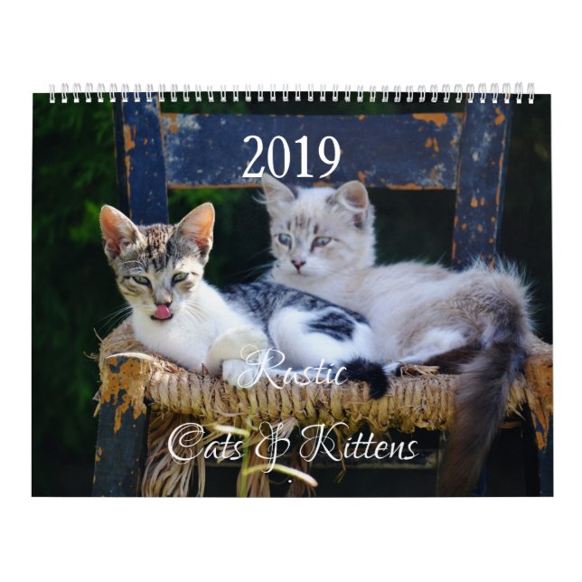 HAMbyWG - Rustikale Katzen & Kätzchen Kalender (Titelbild)