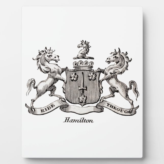 HAMILTON FAMILIENWAPPEN FOTOPLATTE (Vorderseite)